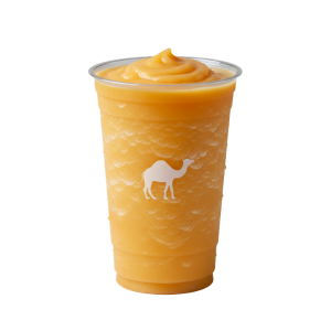 Mango Fusion