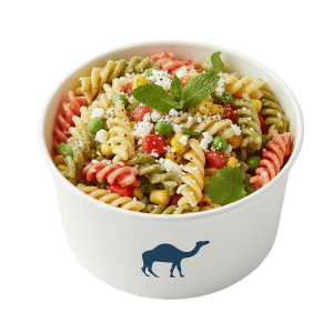 Rotini Salad